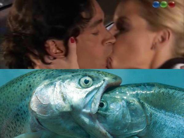 solbenvenuto's tweet photo. @fabipa90 Mucha novela argentina https://t.co/40LHJ5AYgC
