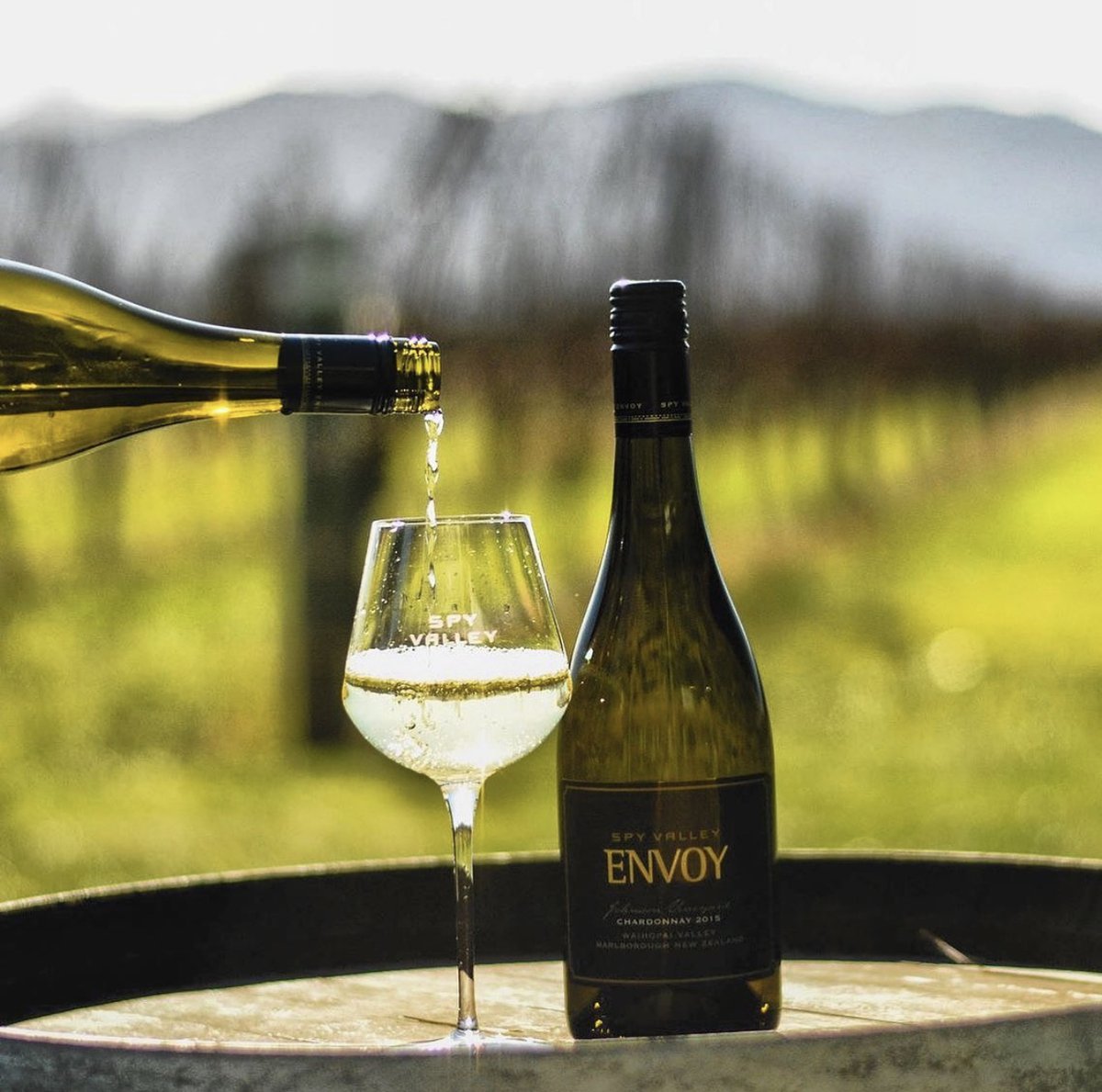 Scored 96 Points! The Spy Valley Envoy Sauvignon Blanc 2016 is all about freshness and vibrancy, boasting hints of citrus and fragrant herbs. It's the perfect match for your go-to salad📷 Grab yours through LCBO Vintages and get sipping!