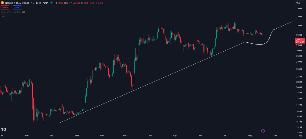 K A L E O tweet media