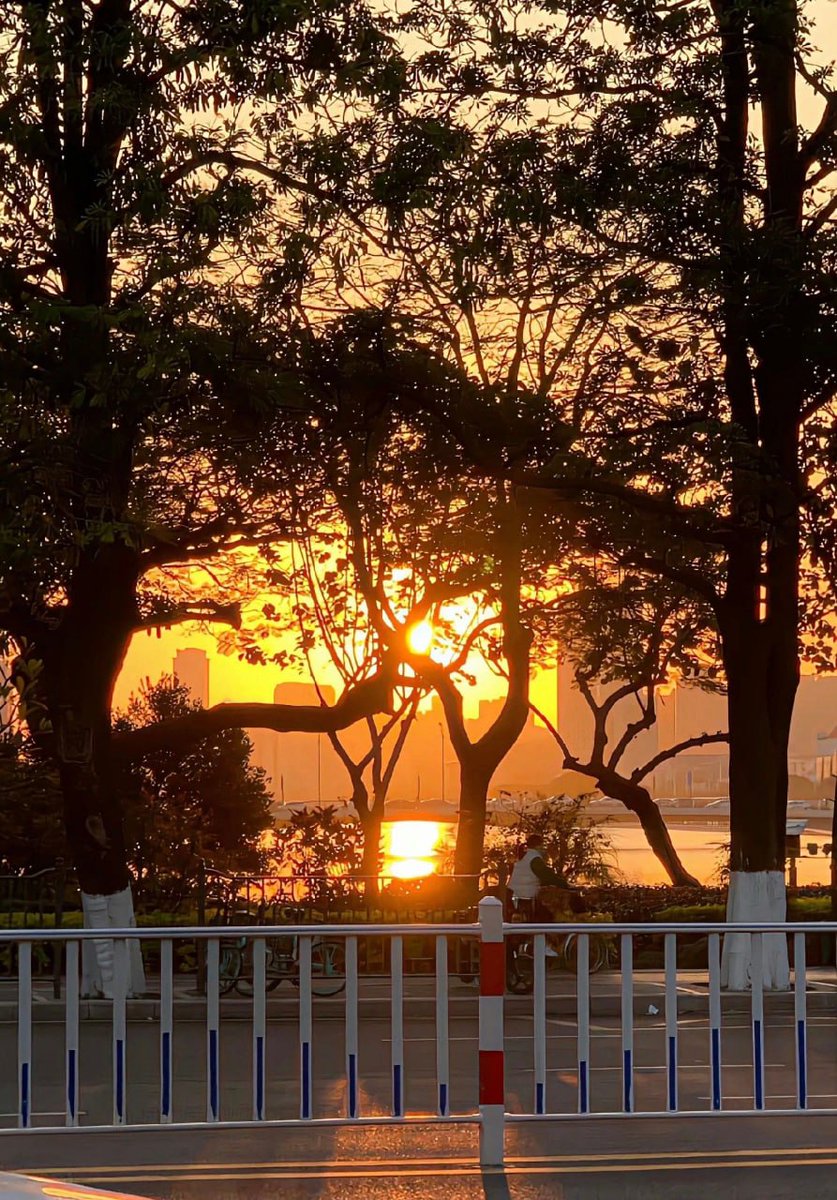 iRunDisMixtapes's tweet image. If you are in full bloom and butterflies come here, if you are wonderful, God will arrange for you.