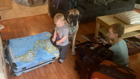 TimesTranscript's tweet image. N.B. woman, kids flee wildfires in Yellowknife tj.news/telegraph-jour…