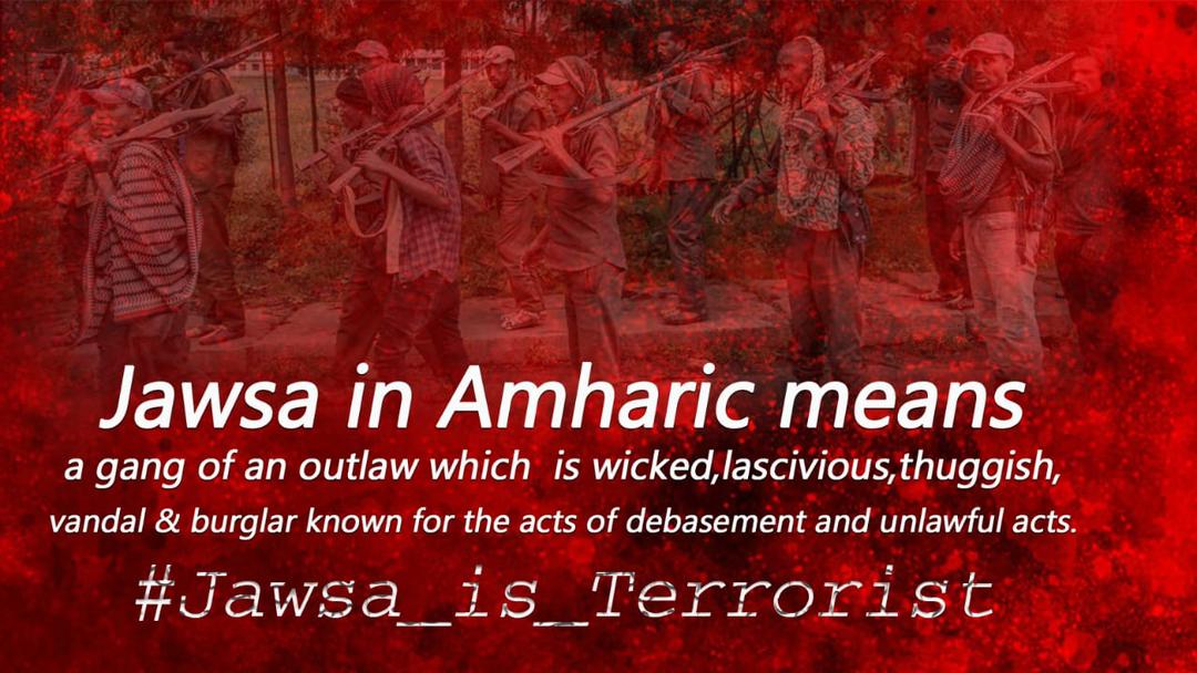 The world is watching, Ethiopia’s future belongs to its people, not to those who wield weapons let’s advocate for a peaceful transition of power through democratic means. #HandsOffEthiopia #Abiy_Ahmed @MikeHammerUSA @VOAAfrica