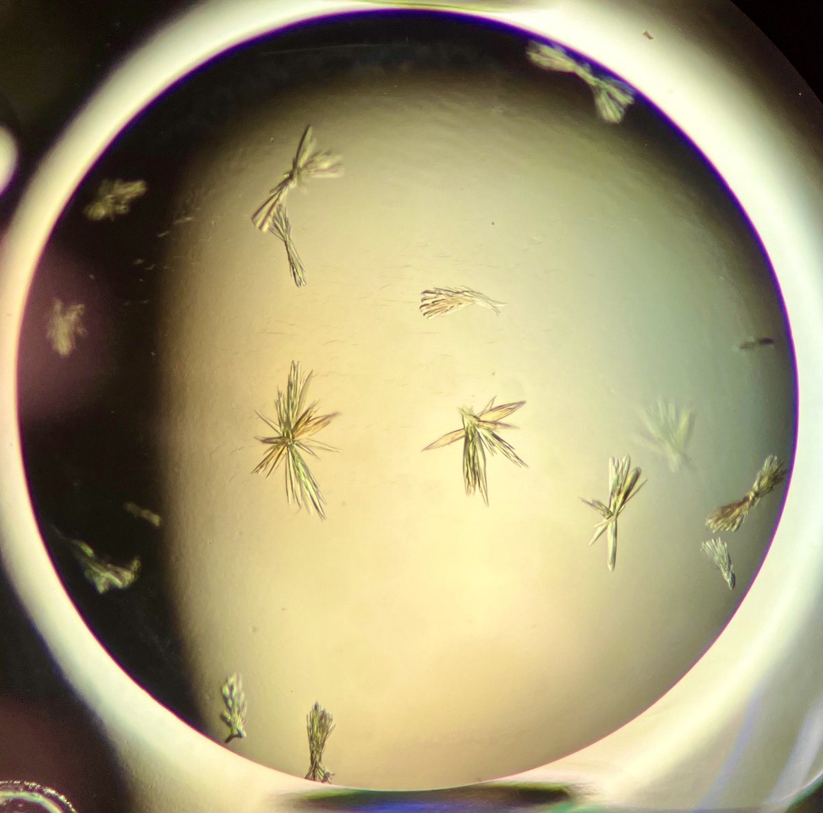 CanadianLightSource tweet media