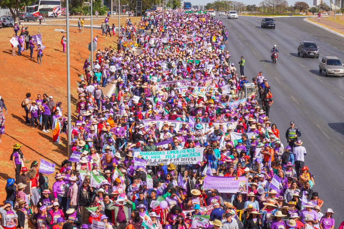 Instituto Políticas Alternativas para o Cone Sul tweet media