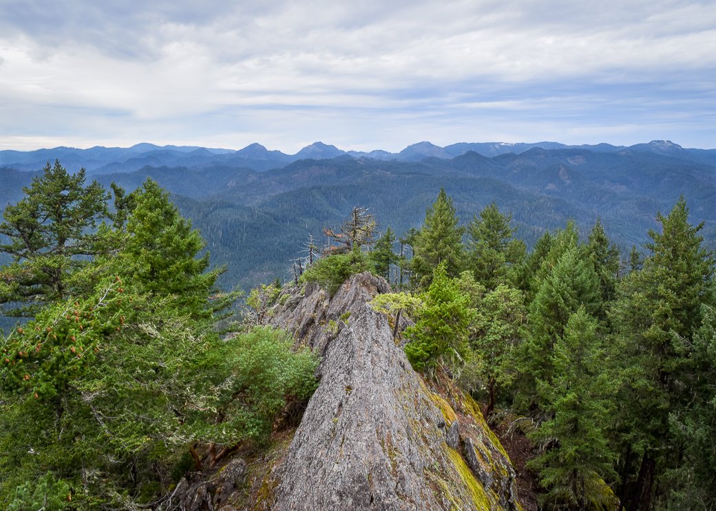 "Those who contemplate the beauty of the earth find reserves of strength that will endure as long as life lasts."
- Rachel Carson