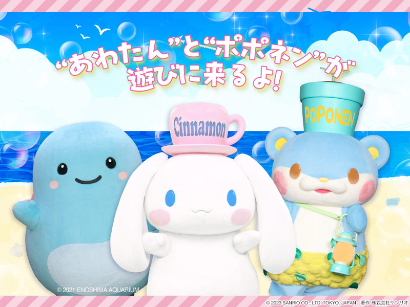 新江ノ島水族館　あわたん シナモン ペアマスコット ぬいぐるみ サンリオ あわたん シナモン ペアマスコットぬいぐるみ 新江ノ島水族館