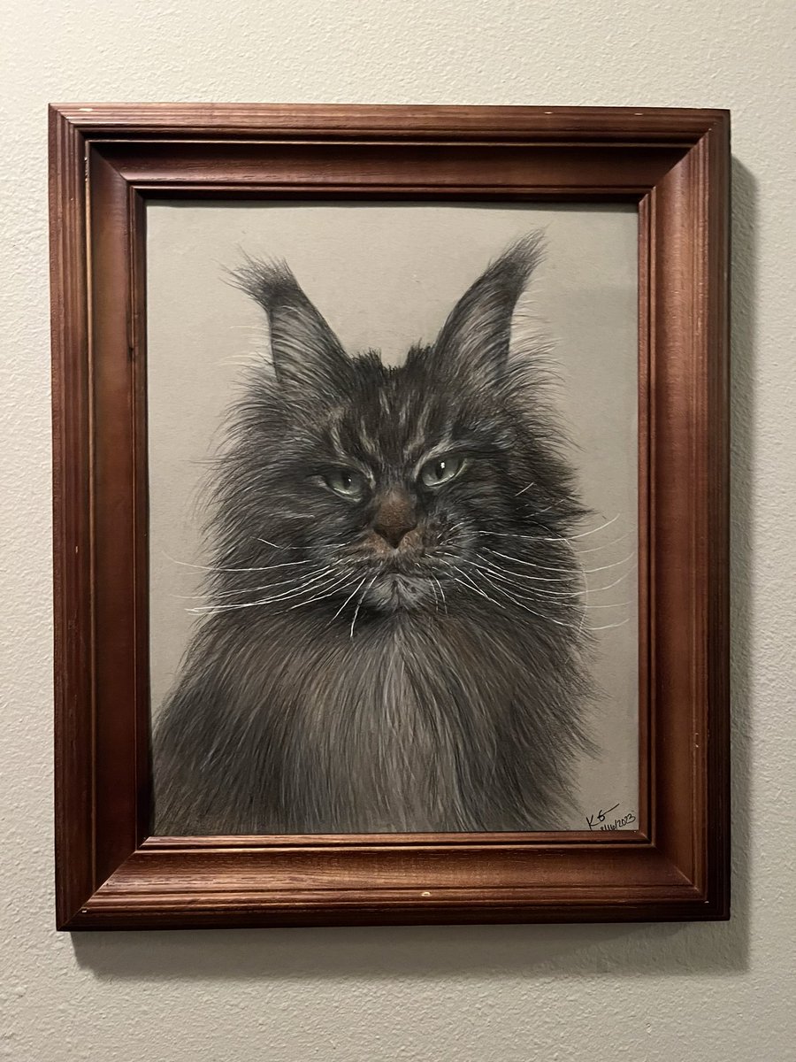 jupiterhaus's tweet photo. I know I’m never on here anymore but yesterday I drew this pet portrait for a friend then decided I’d like to do commissions so if anyone is interested please let me know 😊 https://t.co/UYa4xYVy59