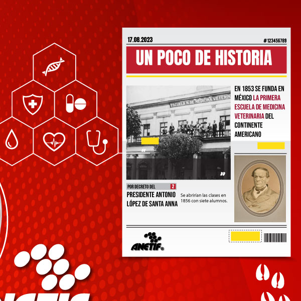 anetif's tweet photo. 👏 ¡Felicidades a todos los Médicos Veterinarios Zootecnistas!

✨ Un reconocimiento especial a quienes laboran en el sistema TIF, por su incansable laborar en garantizar la inocuidad en los productos cárnicos.

#DíaDelMédicoVeterinarioZootecnista #DíaDelMVZ https://t.co/Cvqgq7kSxt