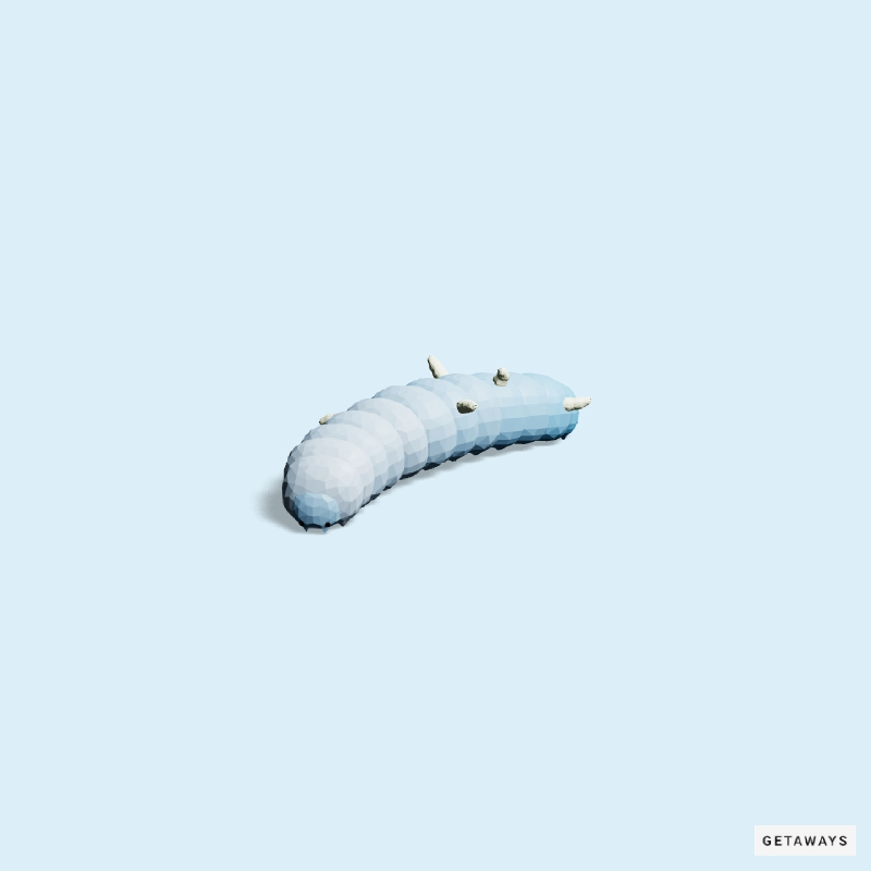 DeadRabbitRS's tweet photo. In honor of @teamgetaways Artifacts mint this Saturday at 10 am EST. We are giving away a Caterpillar!

Like, Comment, and RT to enter. Winner will be drawn Friday 8/18 https://t.co/GAc8PDJ3n1