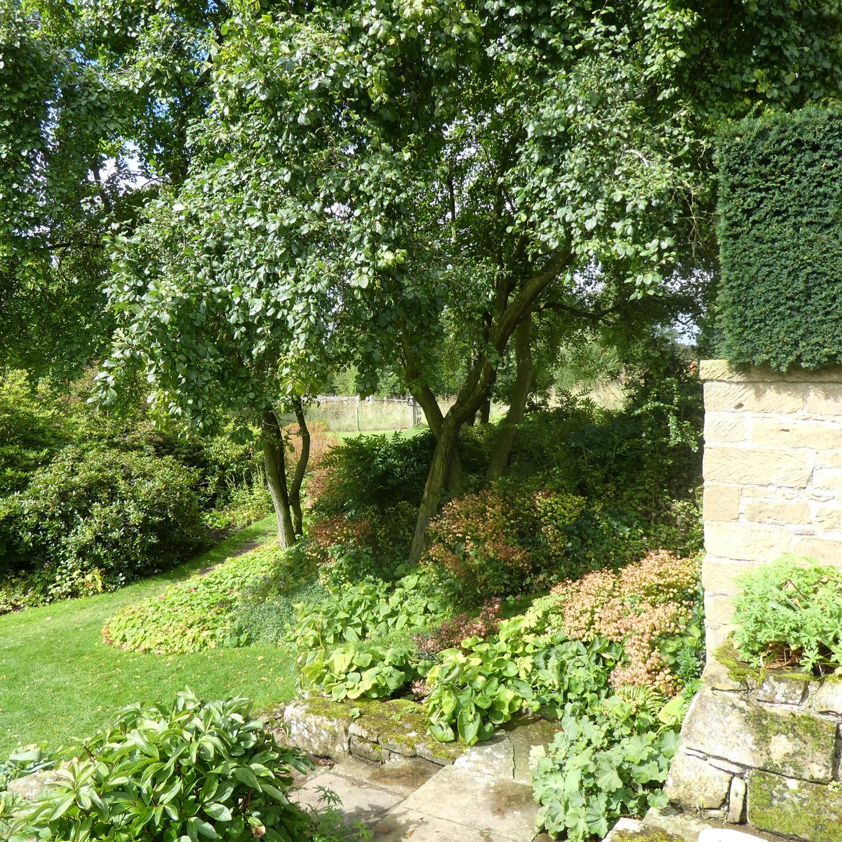 SLGardens's tweet photo. A wet visit to #MountGrace Priory, the rebuilt monk's cell, good information in the house about Carthusians but worth going for the interestingly planted garden by Chris Beardshaw; I love it, and I don't say that often! https://t.co/cMov3u9p4T