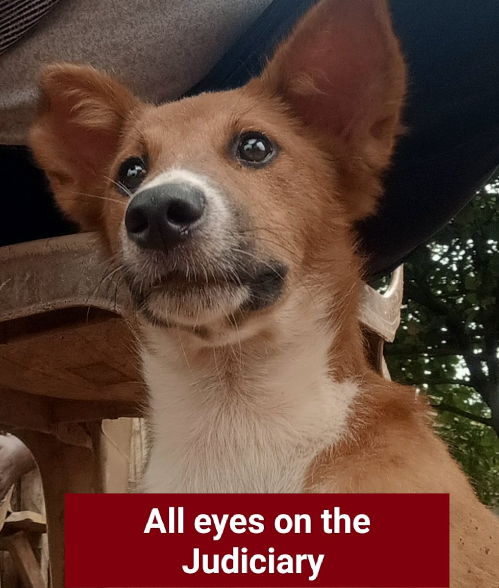 ChidiCn's tweet photo. Obidients be watchful. https://t.co/iPqdDmvAVk