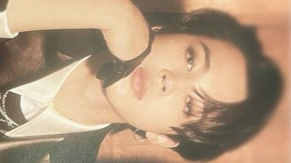 dolliejimn's tweet photo. never lacking in the face department https://t.co/UVJnX1g4TM