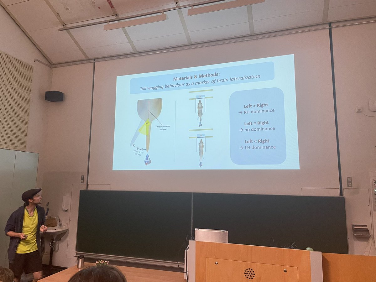 SevimIsparta's tweet image. Super interesting talk by @herrtimsimon on looking behavior and tail-wagging as markers of brain #lateralization in dogs!🦮🐾🧠 The best part of attending congresses is having  a chance to listen the studies directly from authors that you have already followed!🐶  #Behaviour2023