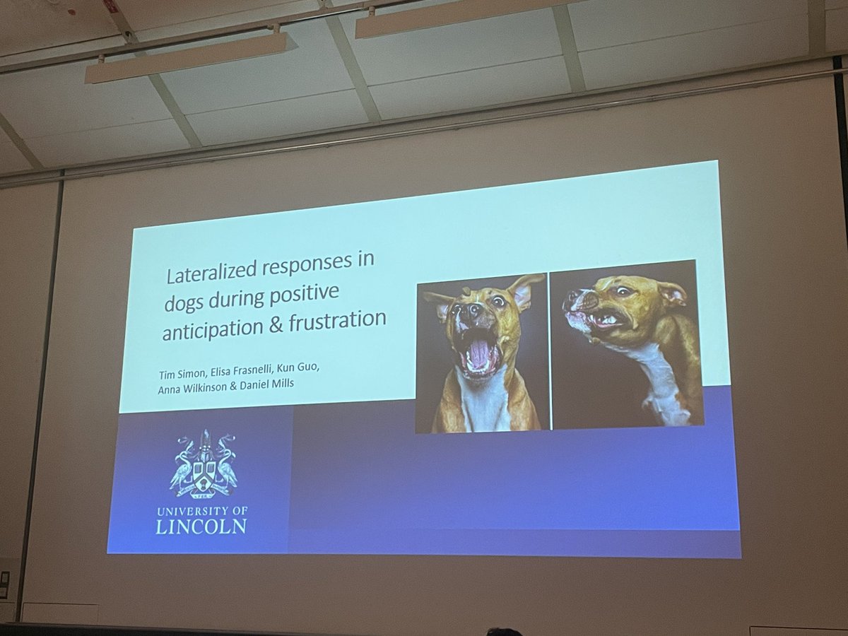 SevimIsparta's tweet image. Super interesting talk by @herrtimsimon on looking behavior and tail-wagging as markers of brain #lateralization in dogs!🦮🐾🧠 The best part of attending congresses is having  a chance to listen the studies directly from authors that you have already followed!🐶  #Behaviour2023