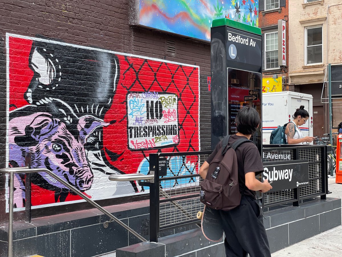 Trespass liberate repeat 
Up in Brooklyn