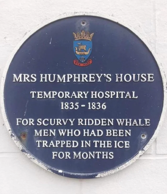 babe, what if we kissed outside the temporary hospital for scurvy-ridden whalemen who had been trapped in the ice for months