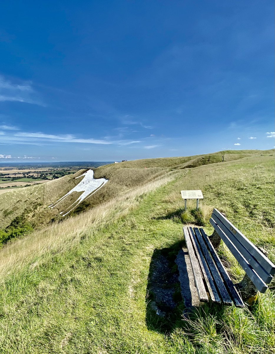 The white horse of westbury whiltshire has been cleaned/painted #westbury #whitehorse