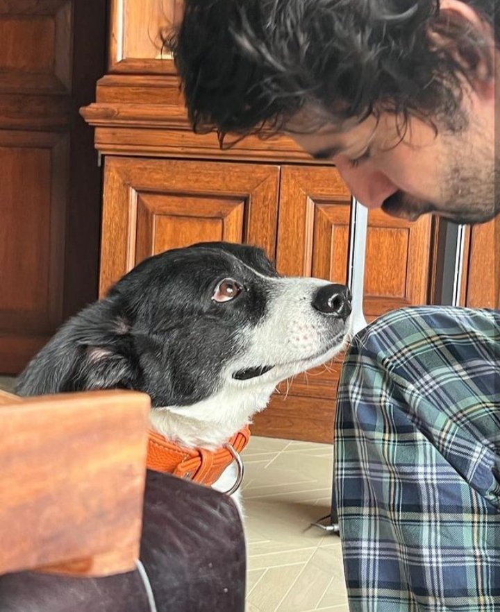 Sudheer961's tweet photo. @urstrulyMahesh Anna Pet Dog Pluto Dies ๐ฅบ
#MaheshBabu #Rippluto ๐ https://t.co/2IzV2FLTU1
