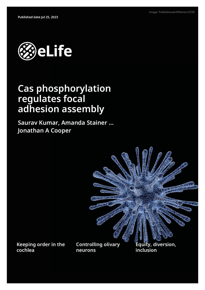 Excited to see our latest paper featured on the eLife Cover @fredhutch @eLife