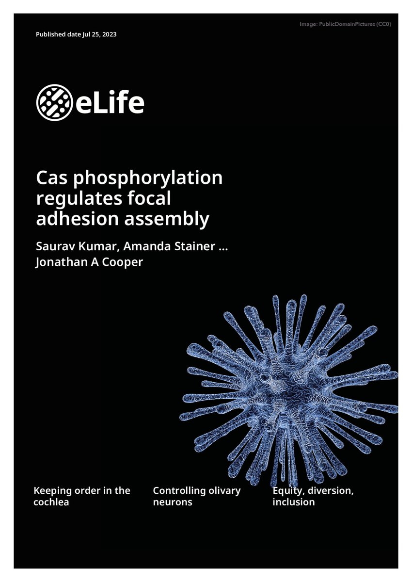 Saurav Kumar (@saurav054) on Twitter photo Excited to see our latest paper featured on the eLife Cover <a href="/fredhutch/">Fred Hutch Cancer Center</a> <a href="/eLife/">eLife - the journal</a> Excited to see our latest paper featured on the eLife Cover <a href="/fredhutch/">Fred Hutch Cancer Center</a> <a href="/eLife/">eLife - the journal</a>