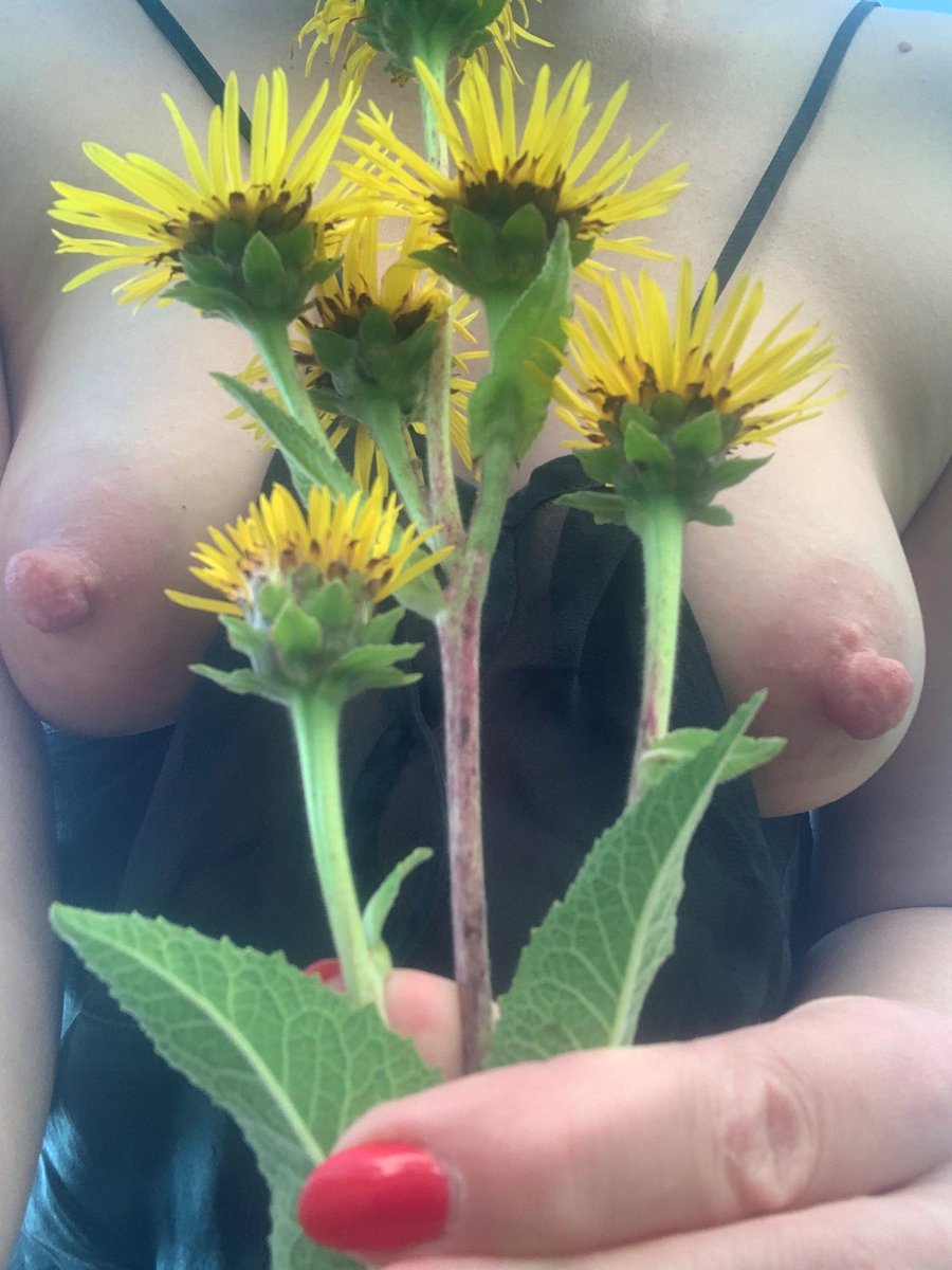 FlowerMilf's tweet photo. From these flowers, women from my region make a love drink 😍 Love magic 🩷 Someone is lucky enough to taste it 😋 And you enjoy the photo🥰 #sexythursday #milf #Flowers #erotik #nude #tits #nsfw https://t.co/HhjzfYwnUw