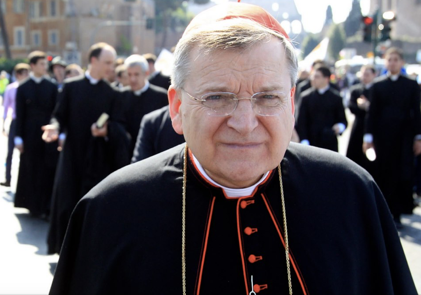 ProtecttheFaith's tweet photo. Cardinal Burke spoke for many of us about the immoral abortion-dependent COVID jabs:

"It must be clear that it is never morally justified to develop a vaccine through the use of the cell lines of aborted fetuses. The thought of the introduction of such a vaccine into one’s body is rightly abhorrent."

Cardinal Burke spoke as a Catholic, Jorge Bergoglio spoke as a globalist