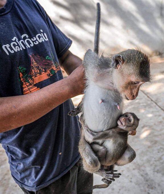 Vreselijk, zag de foto bij iemand op FB, dit gaat je toch door merg en been…….💔😢