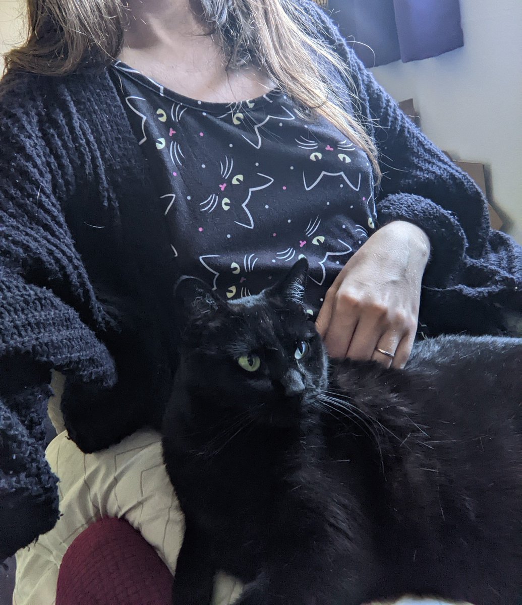 atlur's tweet photo. Happy Black Cat Appreciation Day! https://t.co/DaWpOQ7sVe