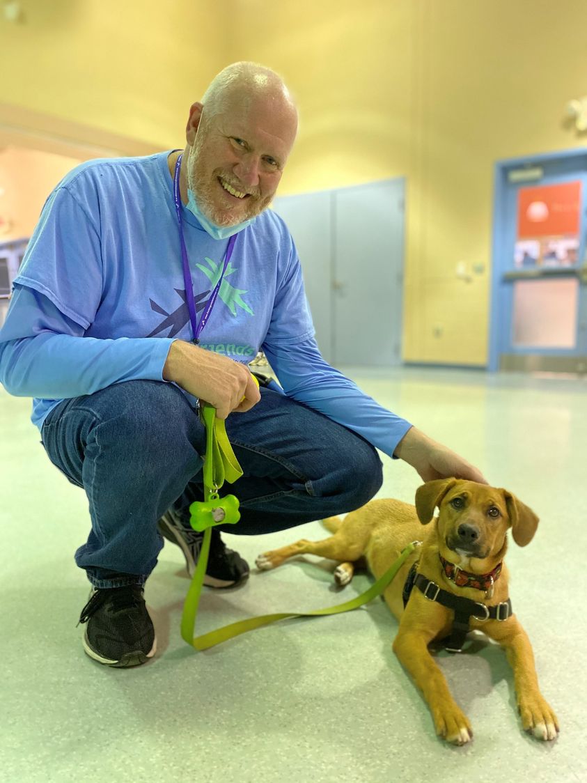 Animal Friends tweet media