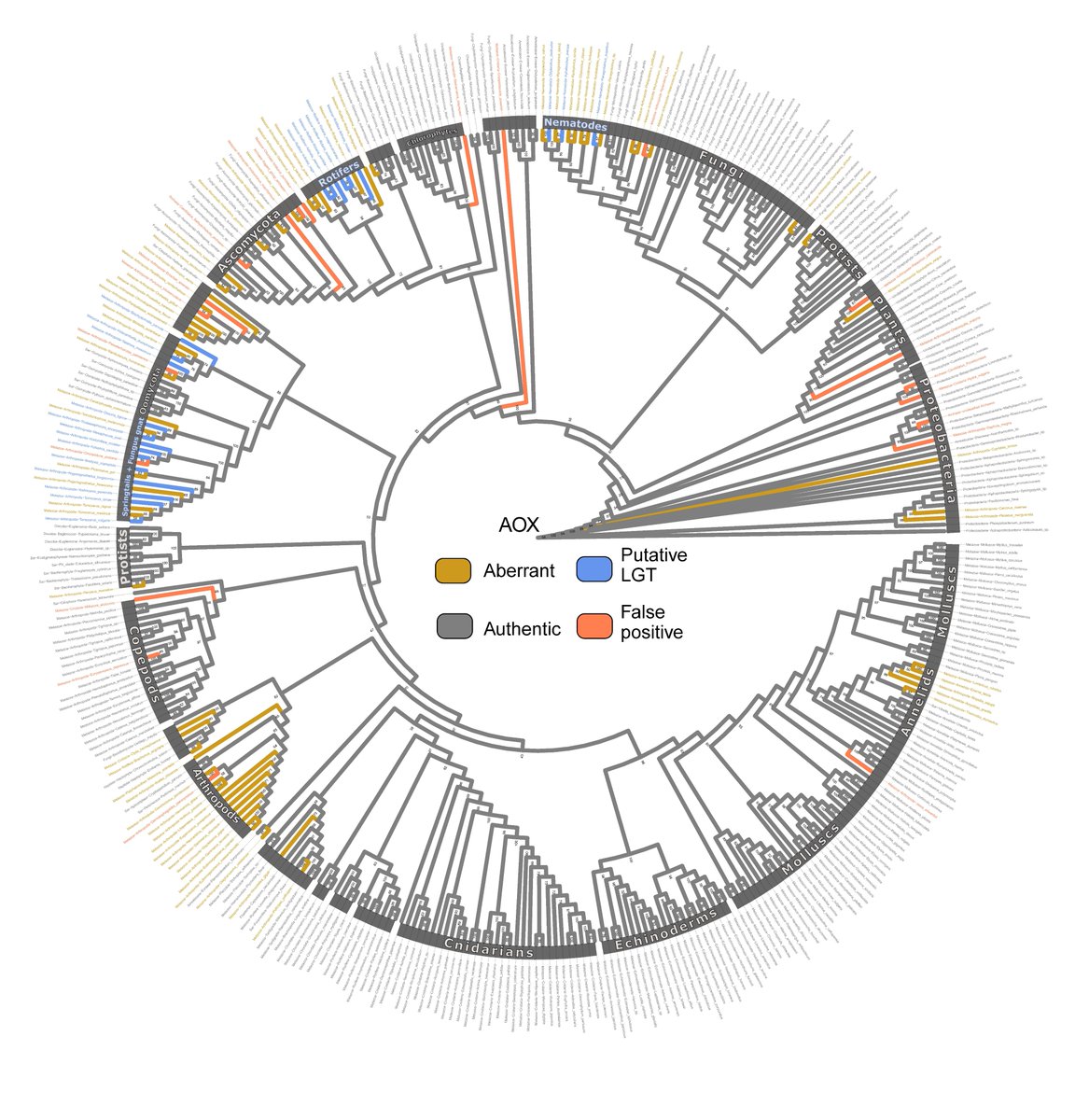 Ryan Weaver tweet media
