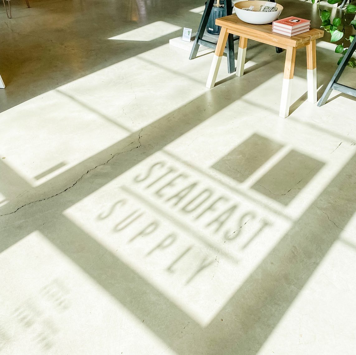 Steadfast Supply | 🛍 Gift Shop 🛍 tweet media