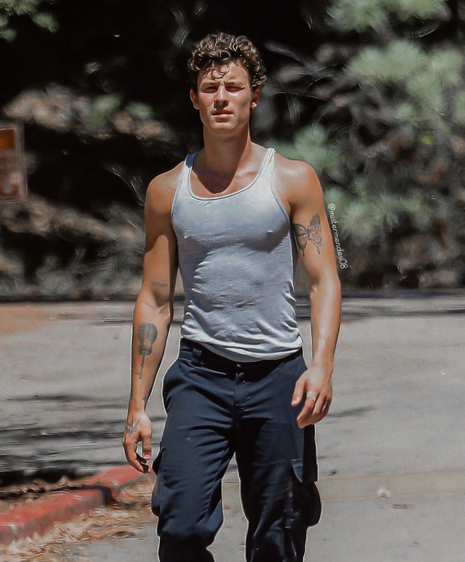 mistermendes08's tweet photo. Shawn Mendes getting thicker every day. https://t.co/xjtrHK9zhf