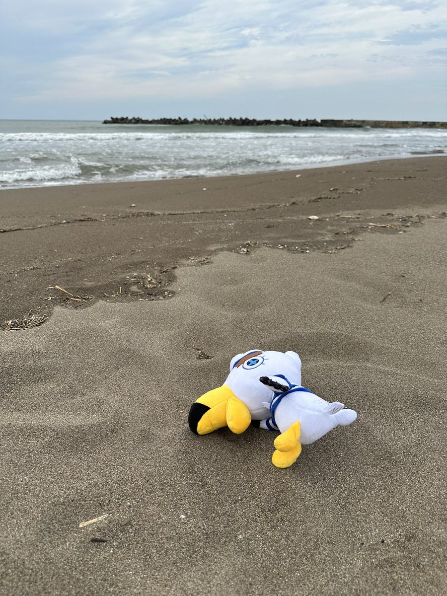 mayplaystv's tweet photo. walking on a beach in japan when i found this 😳 https://t.co/CsJArNmVDK