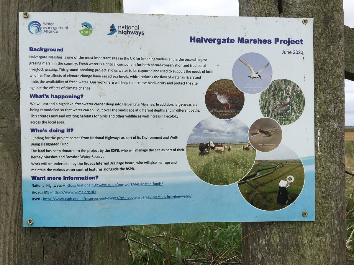 Peter  Allard tweet media