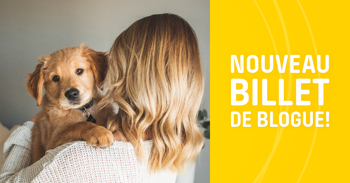 Dans notre dernier billet de blogue, nous examinons de plus près la sensibilité de l’estomac des chiots en pleine croissance et explorons le rôle que joue une alimentation appropriée à leur système digestif délicat. 

nutram.com/ca/article/pre…