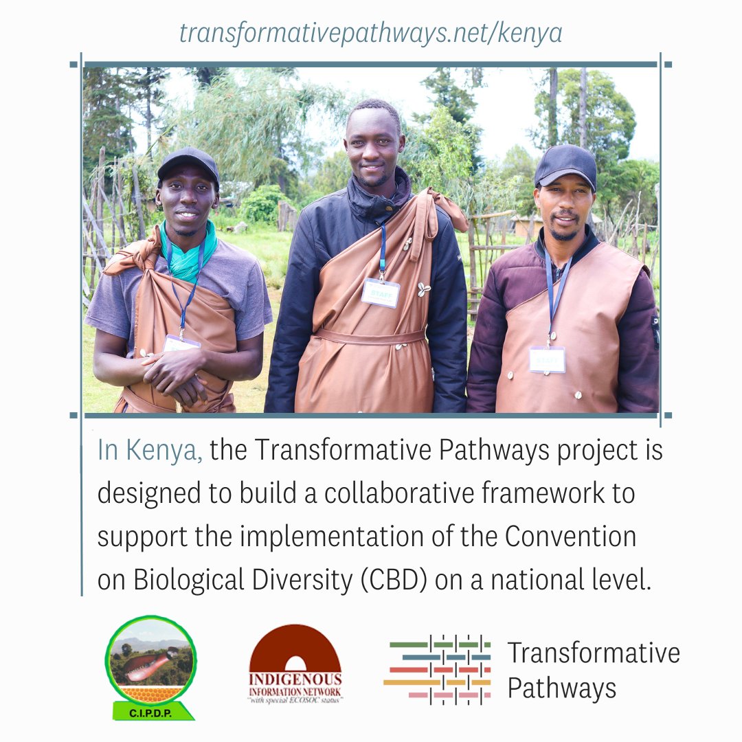 🌍 In #Kenya, how are @CIPDPchepkitale and @IinKenya working to embed #Indigenous contributions into #biodiversity policy?

Find out on the new #TransformativePathways website! transformativepathways.net/regions/africa…

#ForPeopleAndNature #WeAreIndigenous @iki_germany @ForestPeoplesP