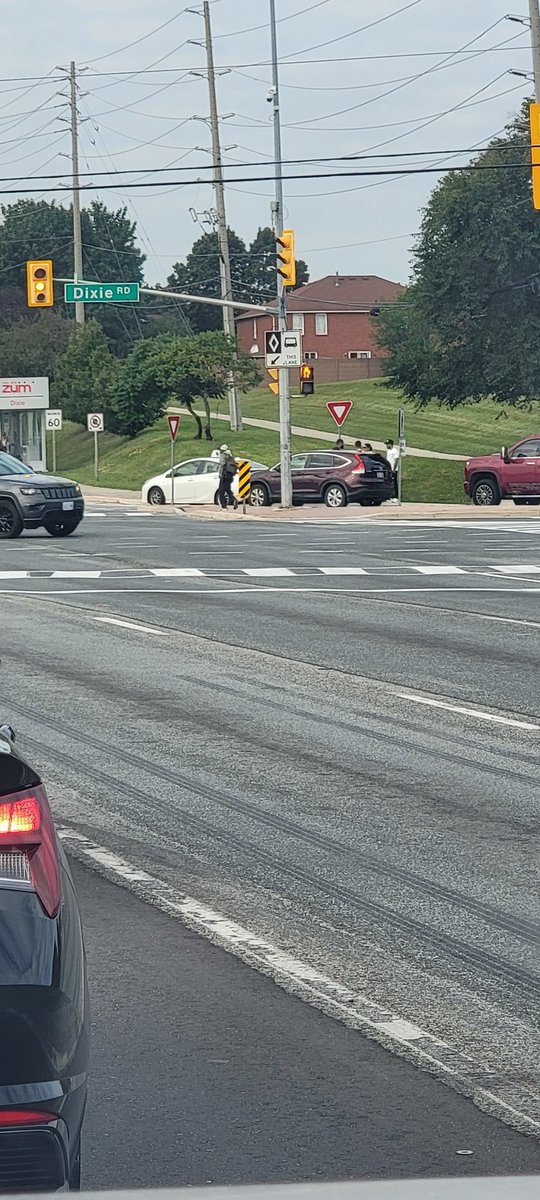 CrankyBear7's tweet photo. Typical Brampton: Imagine doing your driver's ed training and getting rear-ended @livingbyyyz https://t.co/WlW7QeeUcP
