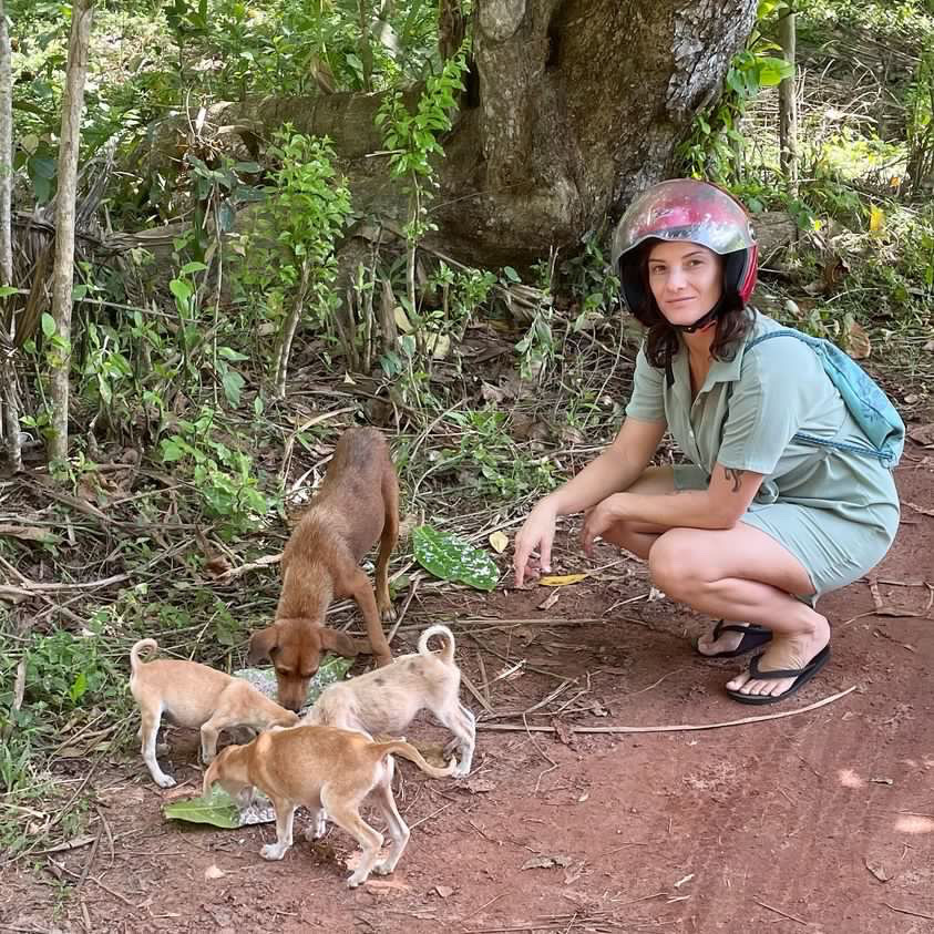 Hey fam💜 

Being a Divergent means an altruistic approach to life. As the project founder &amp; Animal Spirit, I decided to take action and join my friend at Sri Lanka to help stray dogs. You can help us:
🔹donorbox.org/maya_rescue🔹
Even a small amount makes a big difference🐶
🧵+RT