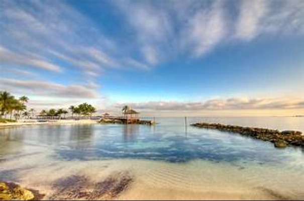 crystal_h2022's tweet photo. 🏝️ Paradise found: Grand Bahamas. 🌴 

Crystals Travels is your ticket to pristine beaches, turquoise waters, and the ultimate relaxation. 

Your dream escape is just a flight away! 🌞 

#BeachBliss #TravelGrandBahamas 🏖️ https://t.co/EZmP98G8dP