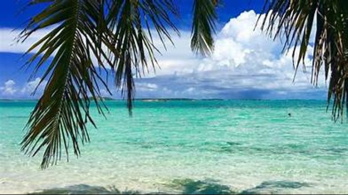 crystal_h2022's tweet photo. 🏝️ Paradise found: Grand Bahamas. 🌴 

Crystals Travels is your ticket to pristine beaches, turquoise waters, and the ultimate relaxation. 

Your dream escape is just a flight away! 🌞 

#BeachBliss #TravelGrandBahamas 🏖️ https://t.co/EZmP98G8dP