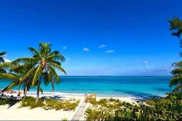 🏝️ Paradise found: Grand Bahamas. 🌴 

Crystals Travels is your ticket to pristine beaches, turquoise waters, and the ultimate relaxation. 

Your dream escape is just a flight away! 🌞 

#BeachBliss #TravelGrandBahamas 🏖️