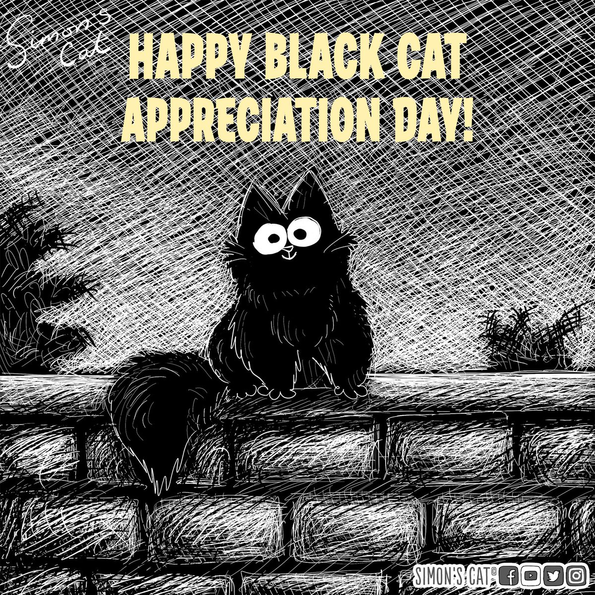 SimonsCat's tweet image. Show us your panthers! 🖤😺