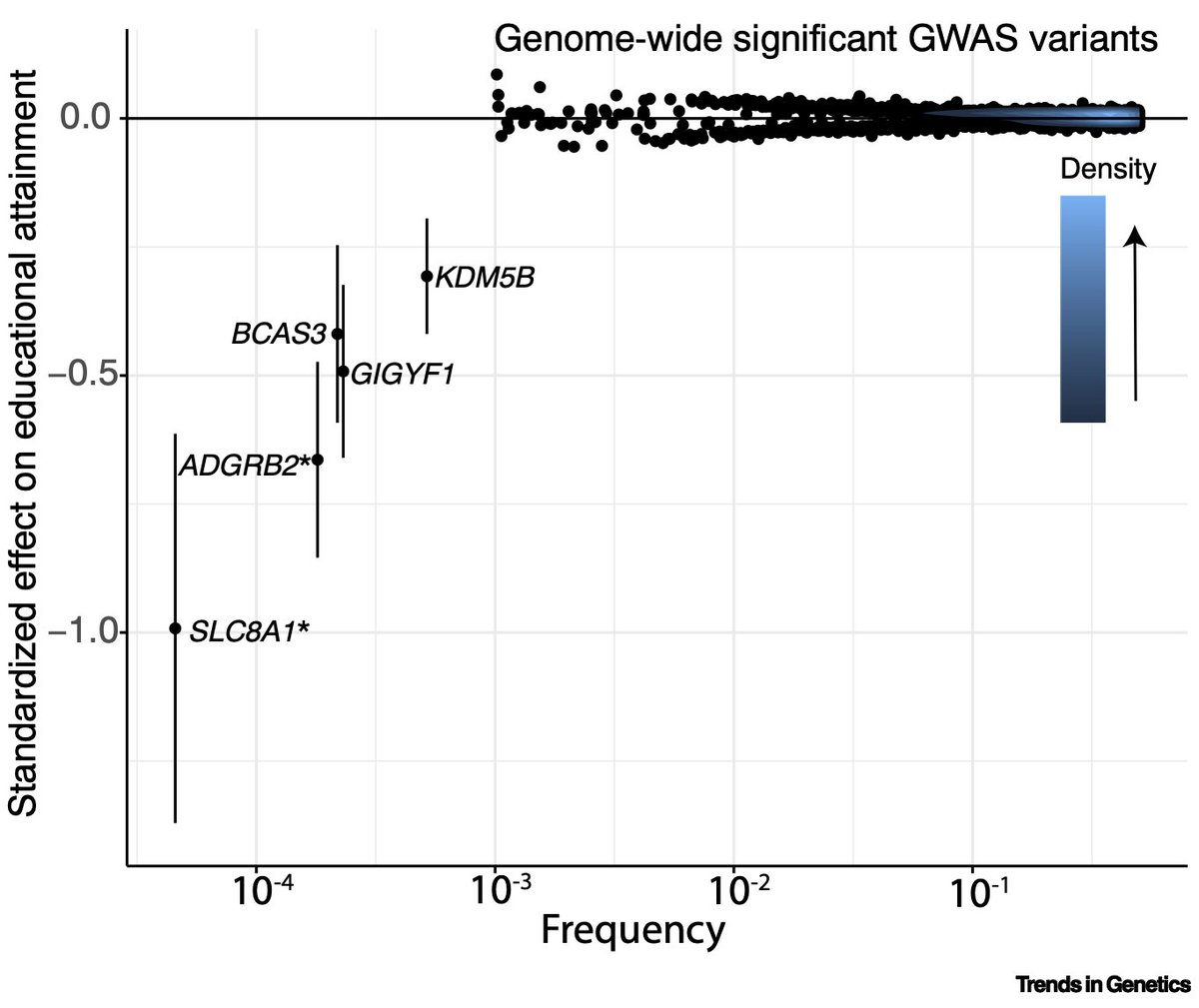 In @TrendsGenetics today, @hilsomartin and I deliver a spotlight (sciencedirect.com/science/articl…) on the recent exome-wide association study of education and cognitive ability. Our concluding paragraph states: The study by Chen et al. provides a compelling rebuke to those who have…