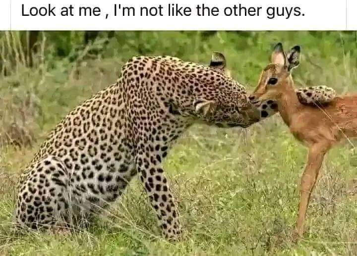 abeshi_eugene1's tweet photo. I'm serious I'm different everybody know that.😏 https://t.co/tQ6ksyCuXE