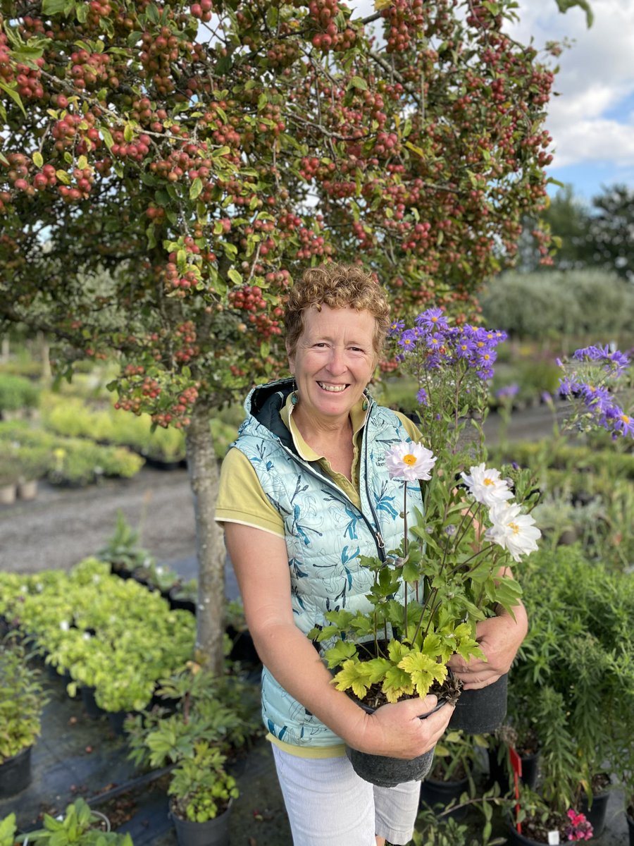 Find out more about Rosy's horticultural life and career Rosy Hardy – RHS Vice President horticulture.co.uk/features/rosy-… via @fuel_themes @Rosyhardy62 @RobHardyPlants #hortilife #rosyhardy #rosyhardyplants