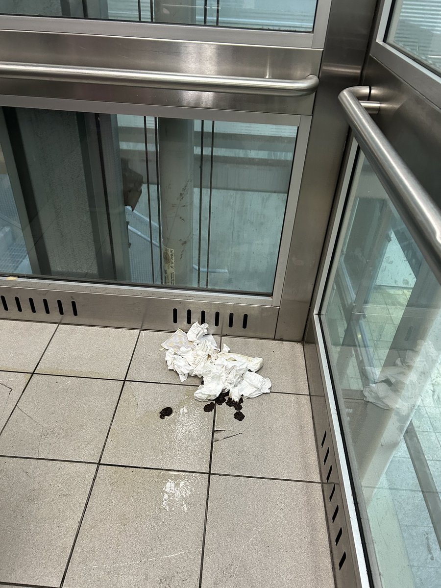 chow_dianne's tweet image. @TransLink someone took a s__t in brig house elevator #canadaline