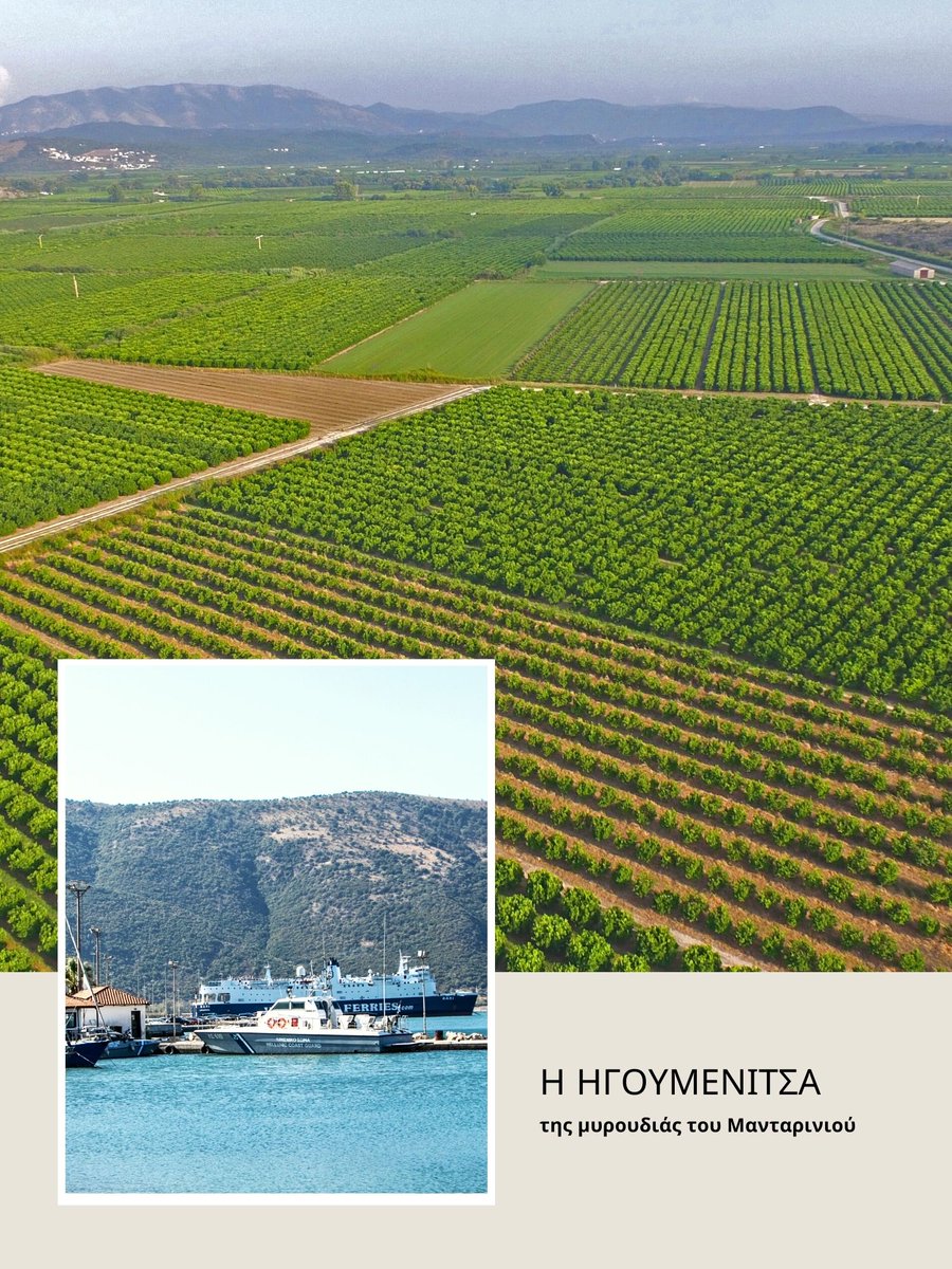 ToAuthentiko's tweet image. Το παράθυρο της  Ορεινής  Ηπείρου βλέπει στη  θάλασσα!
Άγρια γοητεία, κάτι περισσότερο από ομορφιά, αδάμαστος ορεινός τόπος με ψηλά βουνά και πολλά νερά που τα ποτάμια της τα οδηγούν από τις πηγές τους στη θάλασσα.
Νοσταλγική, αγαπημένη, μαγευτική  Ήπειρος! @VisitGreecegr