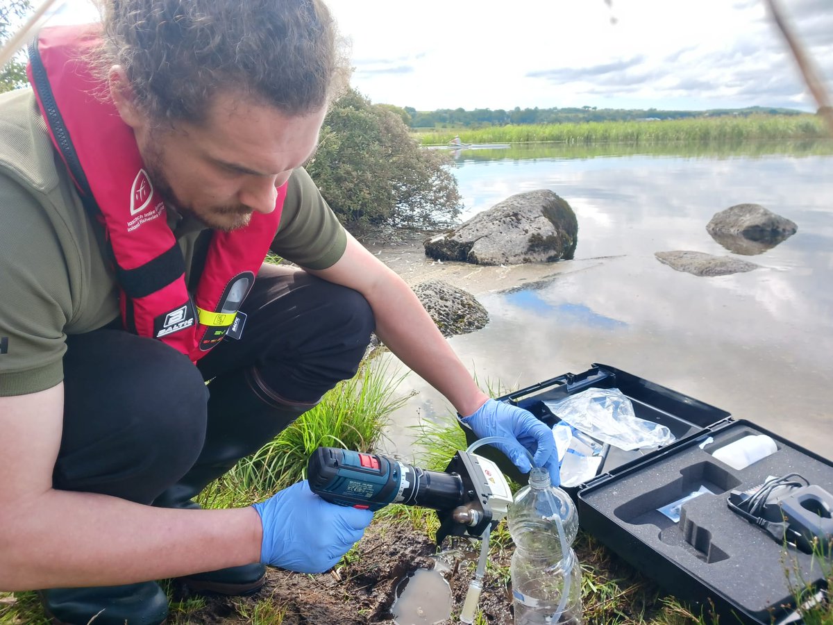 Ireland's national eDNA monitoring programme for #pink salmon has started. #InvasiveAlienSpecies #conservation @NPWSIreland @InlandFisherIE @Dept_ECC @DeptHousingIRL