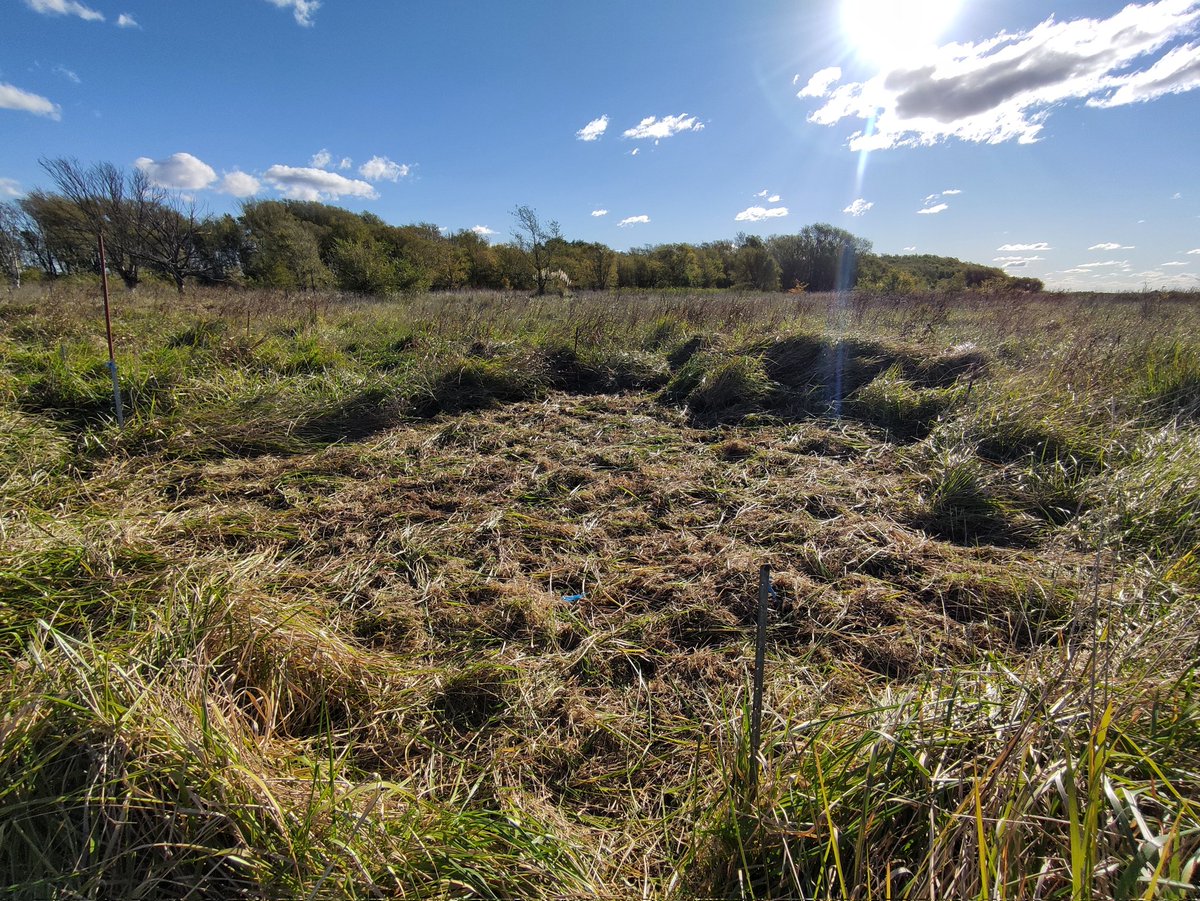 Yags 🇦🇷 tweet media