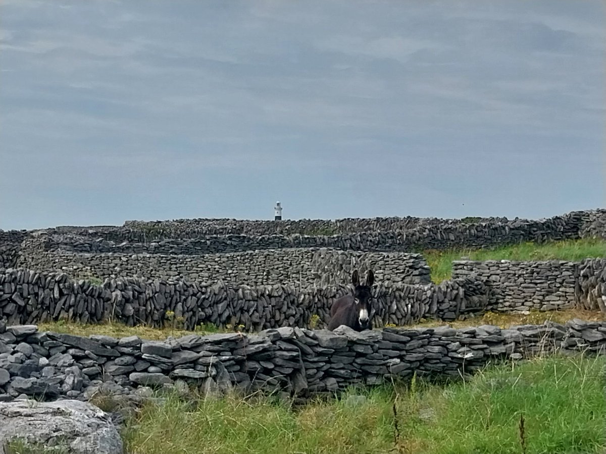 Inis Oírr